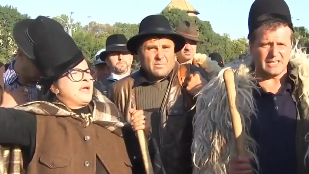 600 de animale impuscate in cap ciobanii protesteaza la guvern din cauza pestei intre timp in iordania e negociat exportul de oi