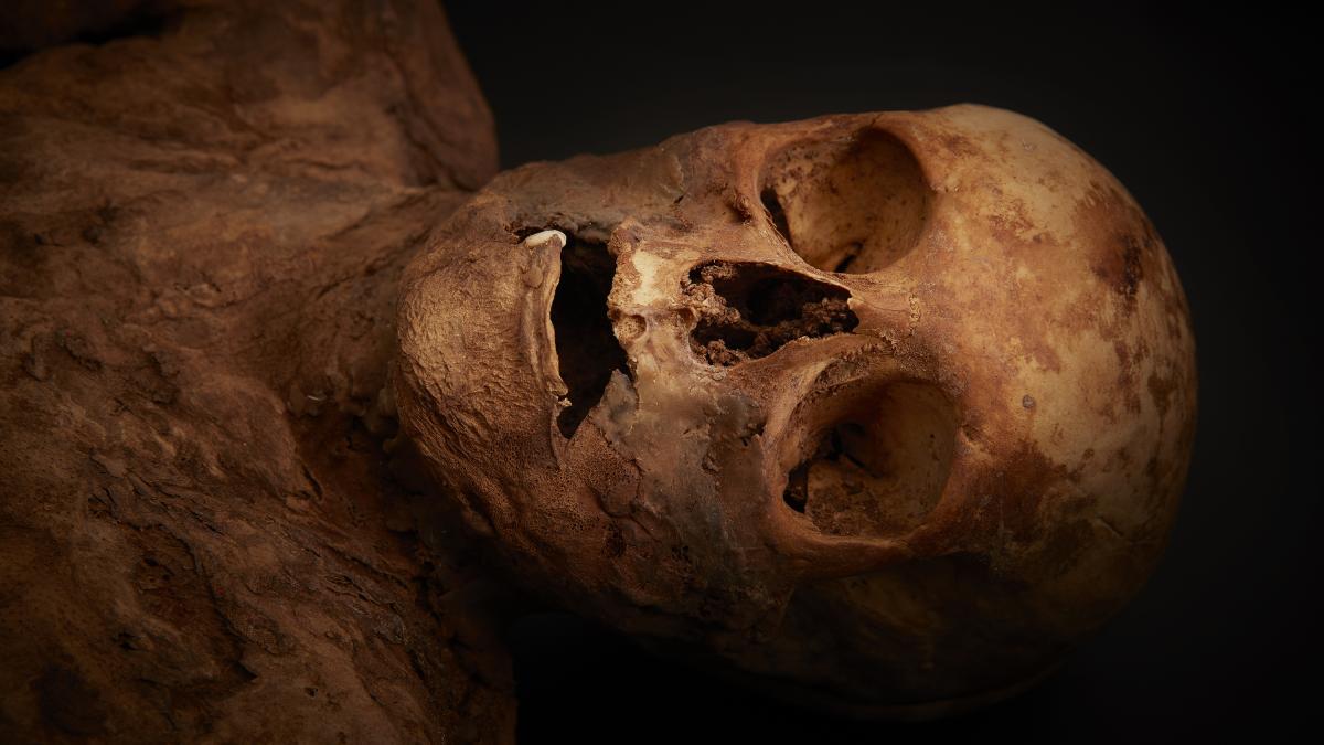 cercetatorii au decodat un adn uman vechi de 10 000 de ani descoperire senzationala despre oamenii antici care au trait in africa