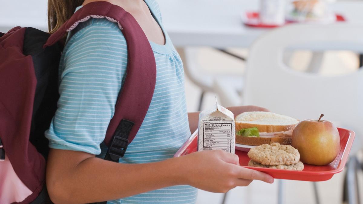 elevii din gorj si mehedinti nu mai primesc mancare dupa ce programul masa sanatoasa i a bagat in spital