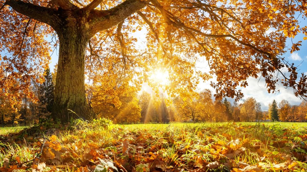 vara revine in romania in ultima saptamana din septembrie unde vor fi 34 de grade celsius