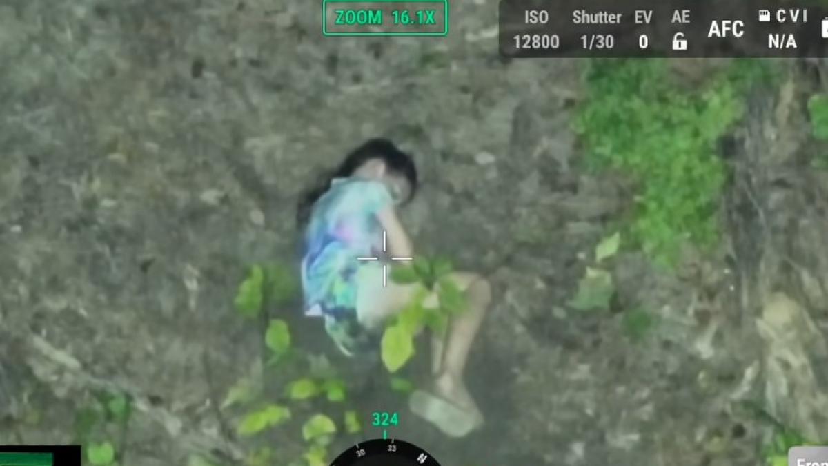 o fetita somnambula disparuta de acasa a fost gasita dormind in padure sute de oameni au cautat o timp de 24 de ore