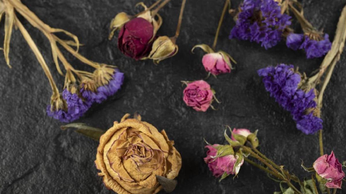 decoratiuni creative cu flori uscate pentru casa ta