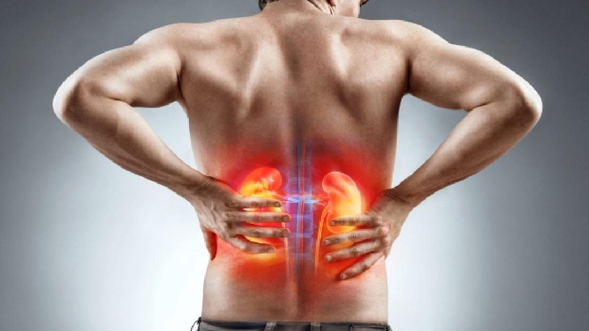 importanta mentinerii sanatatii aparatului urinar si imbunatatirea functiei de excretie a rinichilor