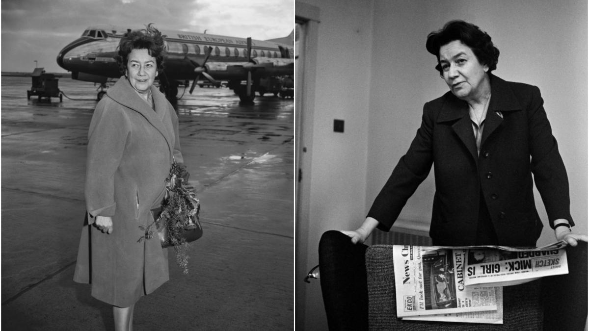 longevitatea s a nascut in romania senatul stiintific al fundatiei dan voiculescu partener stiintific al galei ana aslan