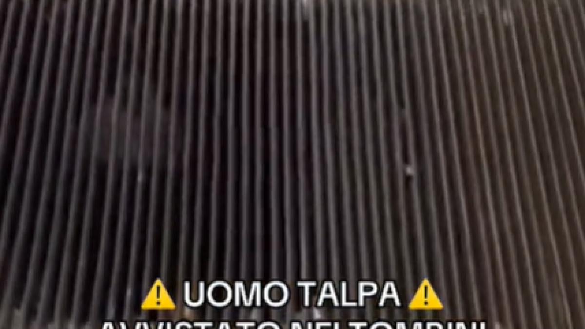 omul cartita a strans 6 milioane de vizualizari pe tik tok de ce ancheteaza politia acest caz