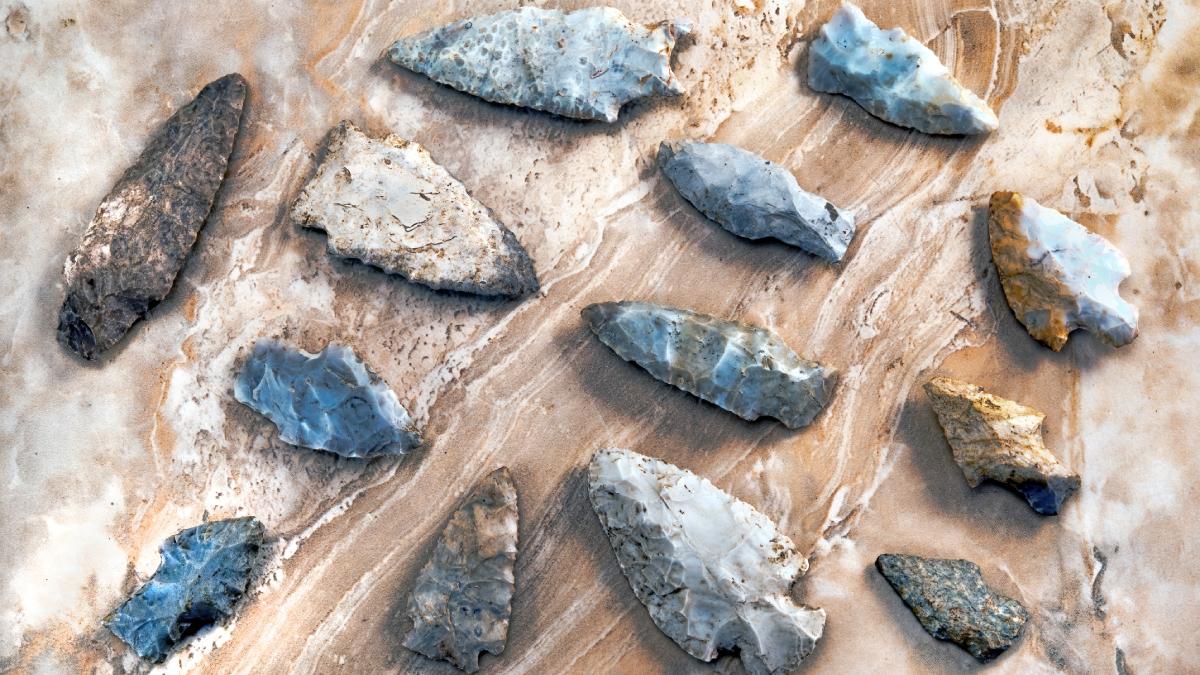 descoperire arheologica rara capete de sageti care dezvaluie prezenta unei armate misterioase in cea mai veche batalie din europa