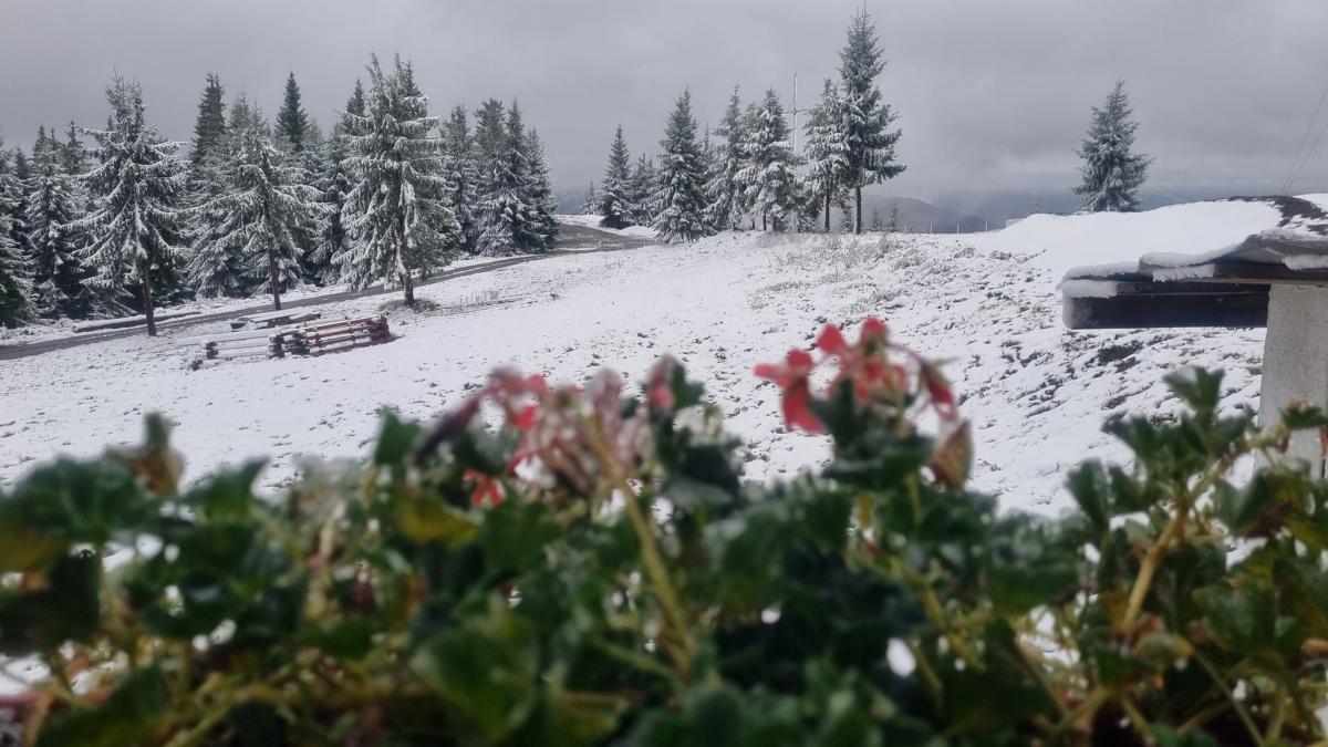 ninge in muntii parang si in poiana brasov s a depus strat de zapada sunt minus 10 grade la varful omu