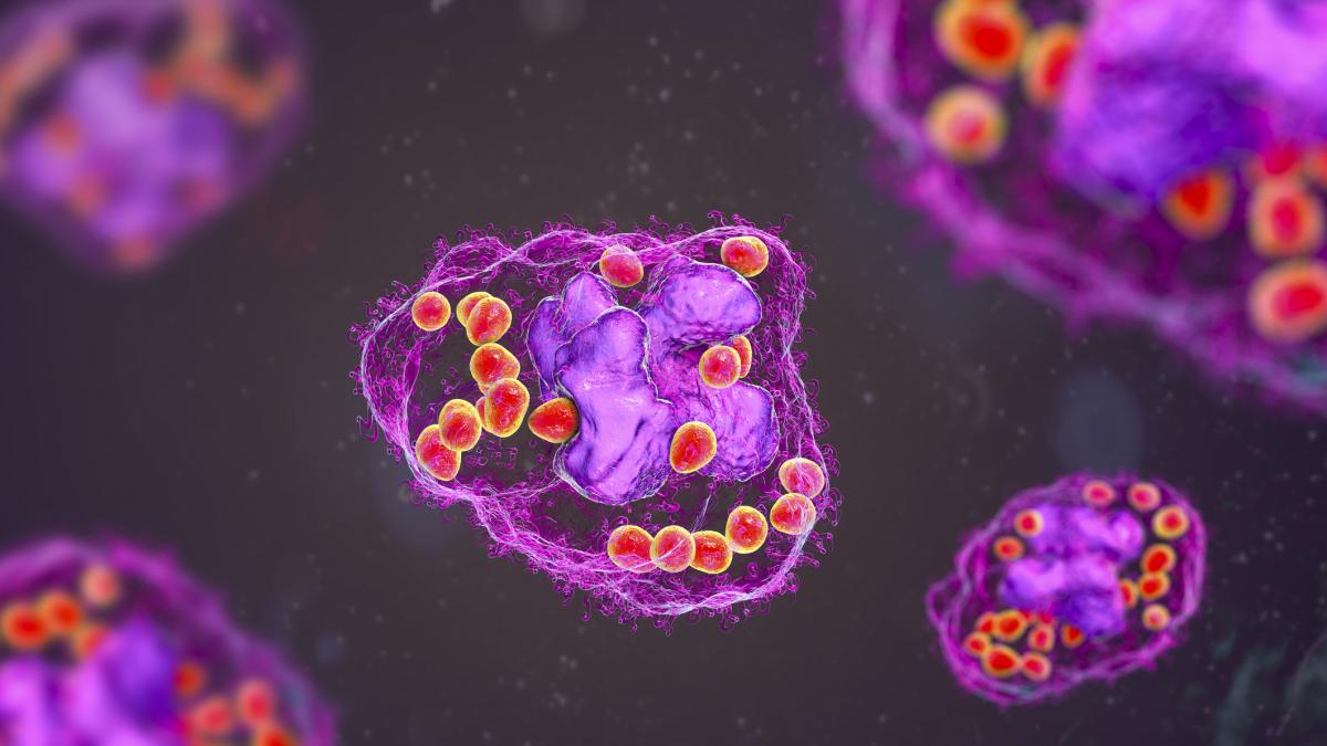 o noua celula a fost descoperita acum la 100 de ani de cand s a banuit prima oara ca ar exista