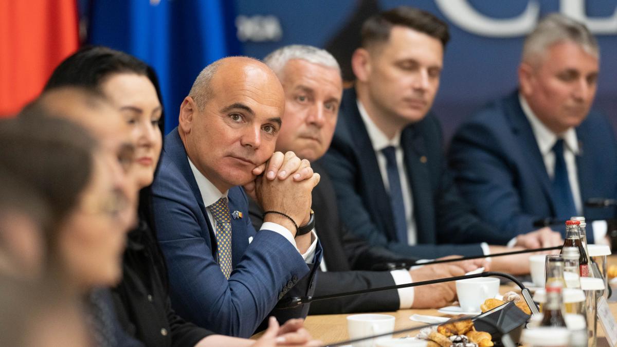 proiect pnl bilete de avion gratis bani pentru afaceri si scutiri de impozite pentru romanii din diaspora