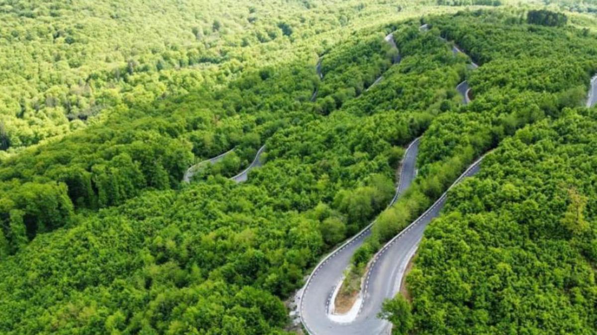 receptia celui mai scump drum judetean din romania transapuseana a fost blocata de birocratie cj puteti sa i spuneti cum doriti