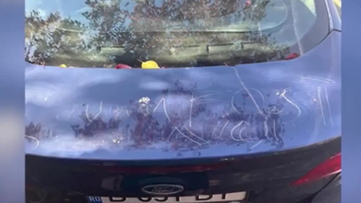 zeci de soferi si au gasit masinile vandalizate intr o parcare din capitala un necunoscut le a scrijelit pe capote acelasi mesaj