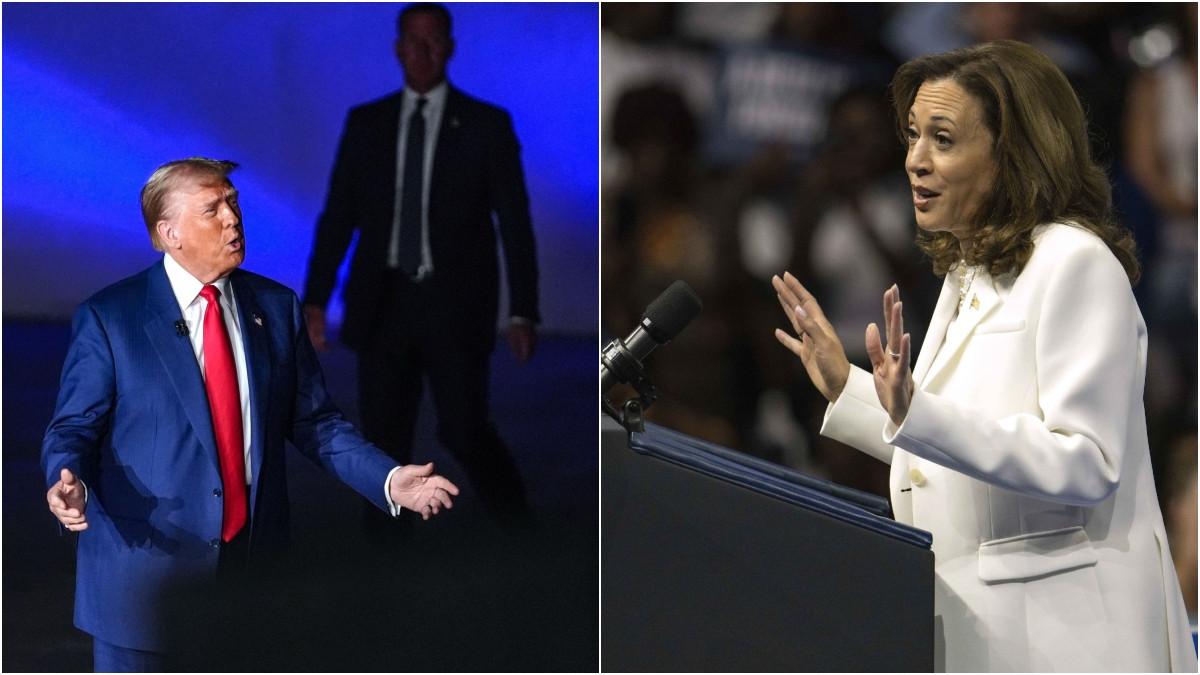 cum stau trump si kamala harris in sondaje cu o luna inainte de alegeri