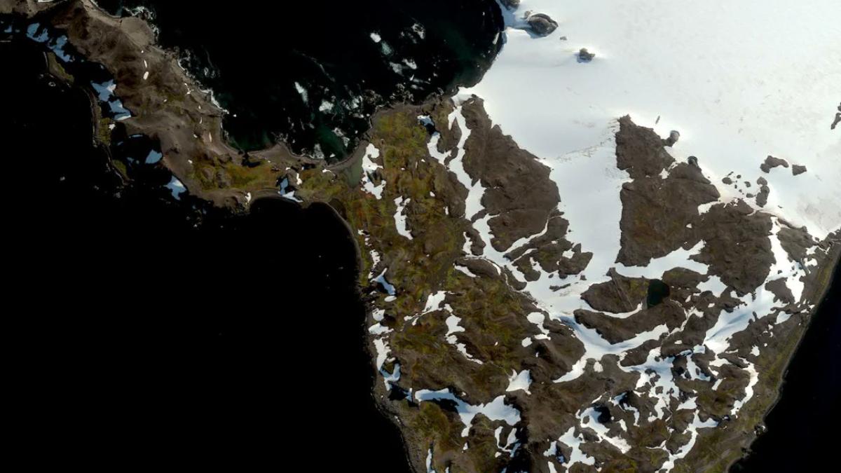 imagini din satelit cat de repede inverzeste antarctica ghetarii se topesc intr un ritm alarmant