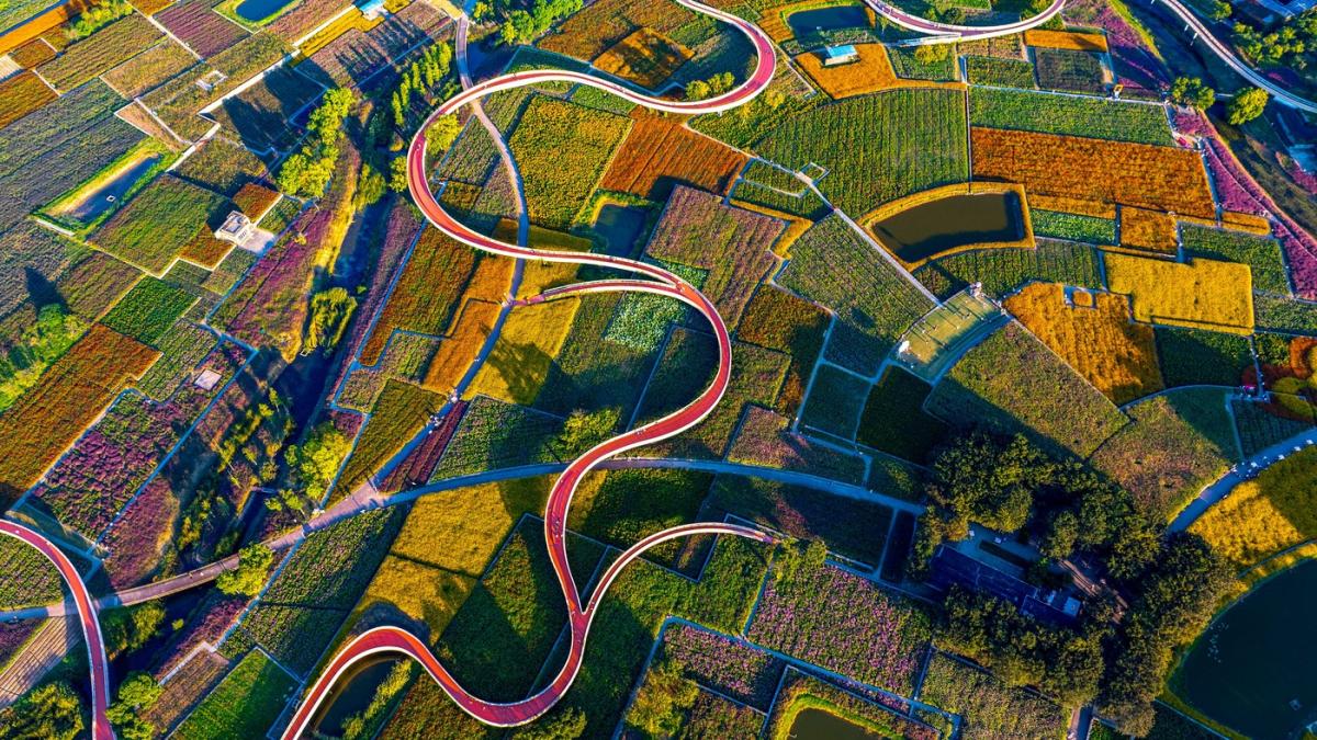 imagini spectaculoase cu campurile colorate din suqian lumea este atrasa ca un magnet de locul care pana de curand a fost o ruina