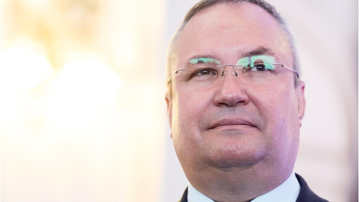 liderul pnl constanta majoritatea romanilor vor vota nicolae ciuca in turul 1 pentru a da o lectie fratiei psd aur