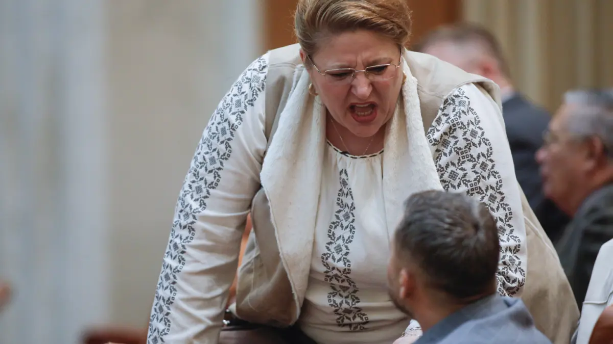 surse cum a votat fiecare judecator al ccr la decizia de interzicere a candidaturii dianei sosoaca