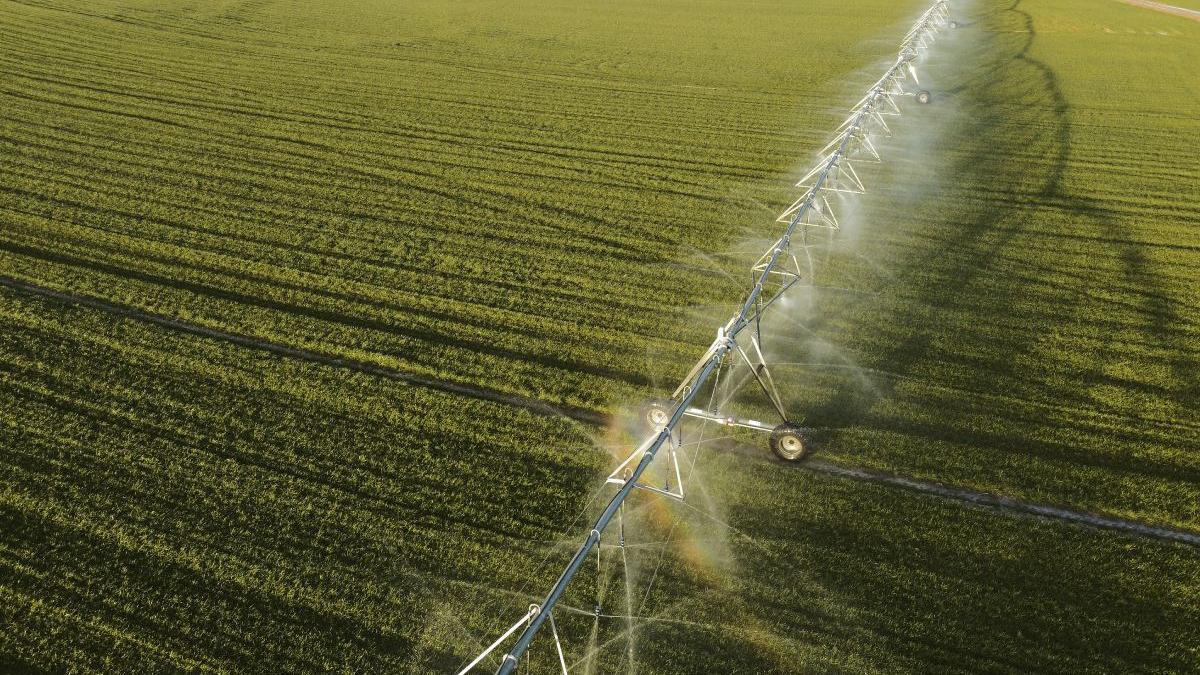 romania va trimite experti in egipt ca sa i invete pe fermieri cum sa faca sisteme de irigatii si asociatii barbu avem expertiza