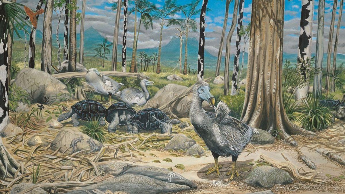 celebritatile dau milioane de dolari unei companii care vrea sa reinvie specii disparute care sunt riscurile si cine a fost dodo