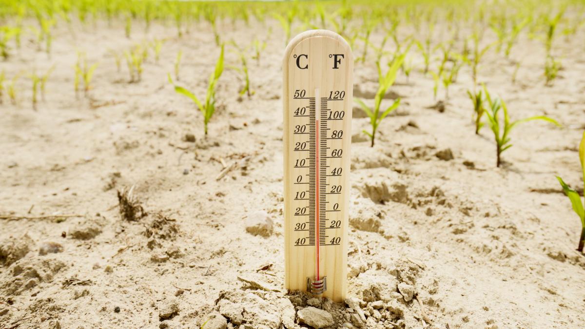 doar 4 din populatia romaniei considera schimbarile climatice ca fiind cea mai importanta problema raport