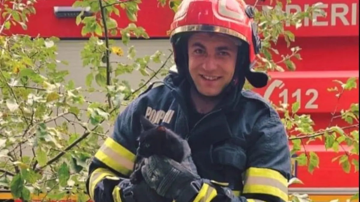 o pisicuta a fost salvata de pompieri dintr o fantana adanca de 8 metri in hunedoara a primit o noua sansa la viata