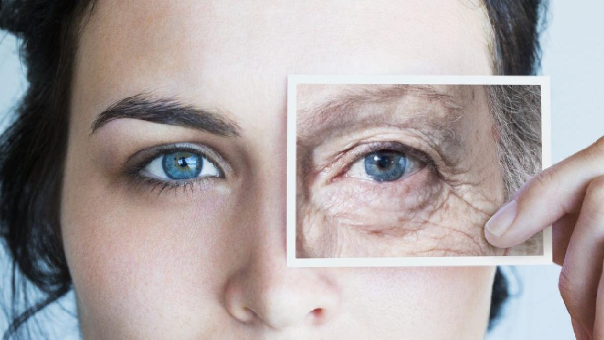 longevity expo forum fest 2024 inovatii si solutii pentru o viata mai lunga