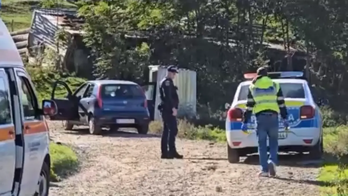 cinci tineri s au batut cu furci si topoare din cauza unei fete in botosani