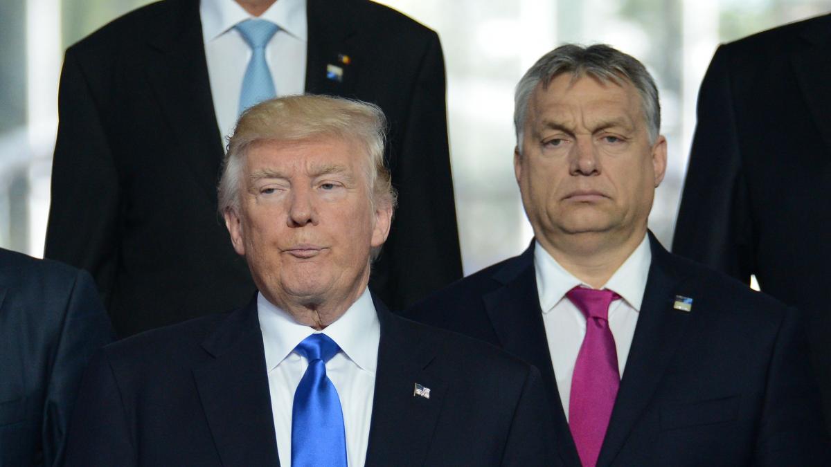 planul secret al lui orban si trump de ce blocheaza ungaria banii pentru ucraina si cum influenteaza asta alegerile din sua