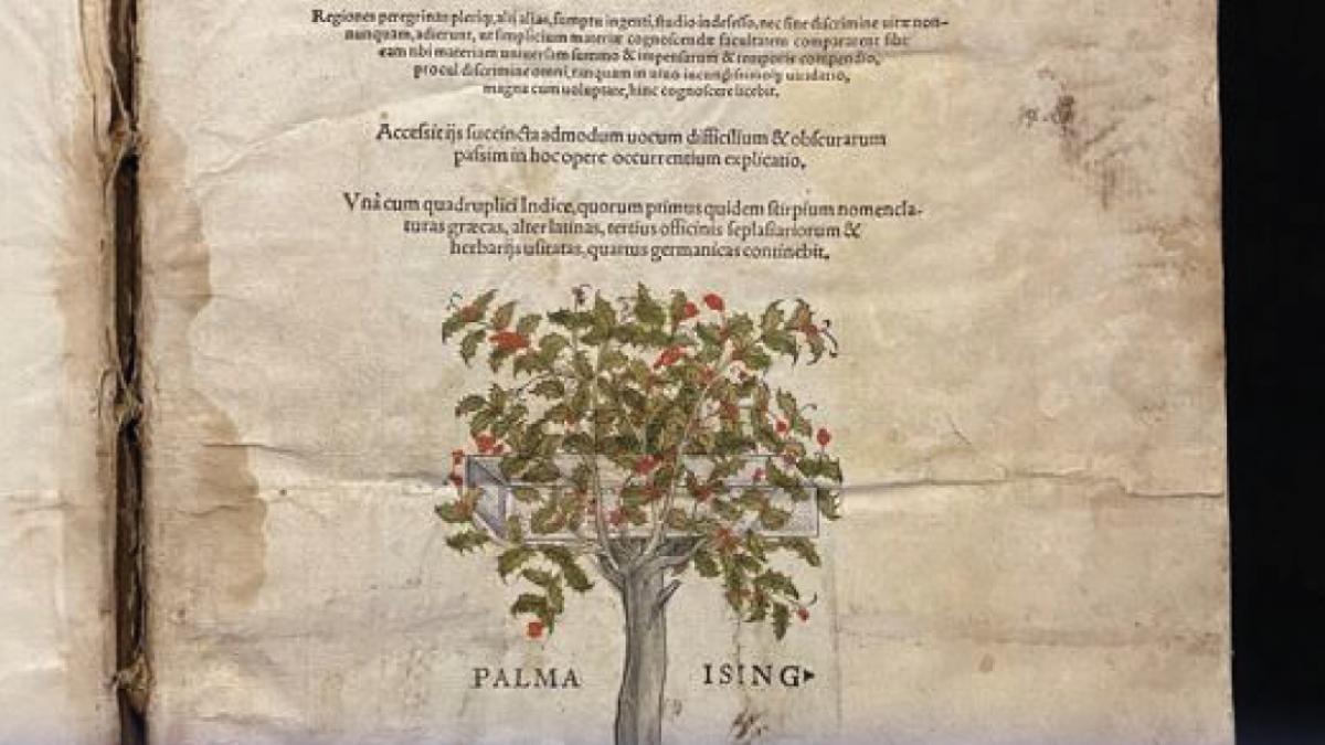 o carte rara care fusese furata a fost gasita pe un site de licitatii politistii au intrat pe fir si au facut o descoperire uluitoare