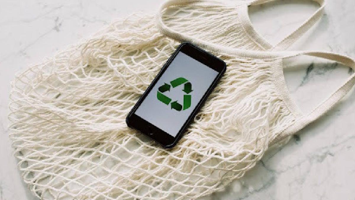 ghid pentru incepatori cum sa incepi un stil de viata eco friendly profitand de reducerile de black friday