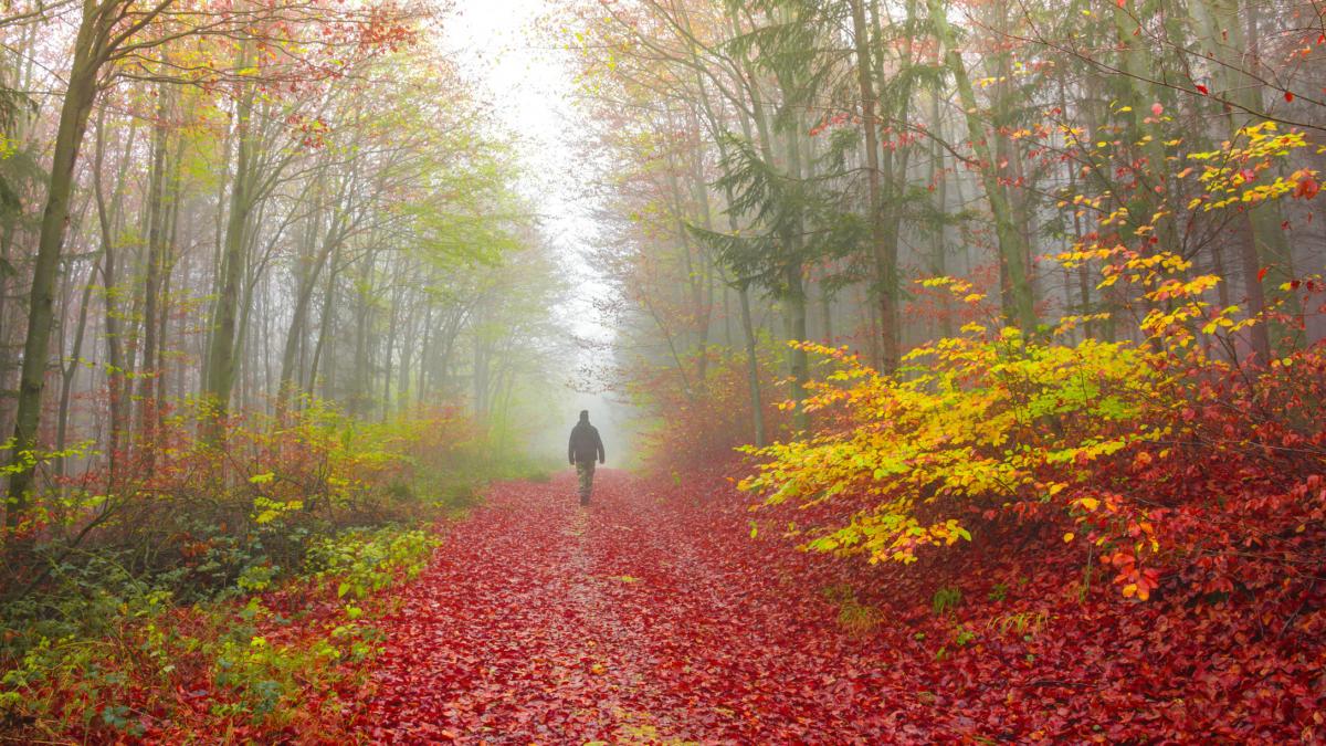 dimineata de iarna in romania la ora 8 00 au fost temperaturi negative chiar si in bucuresti