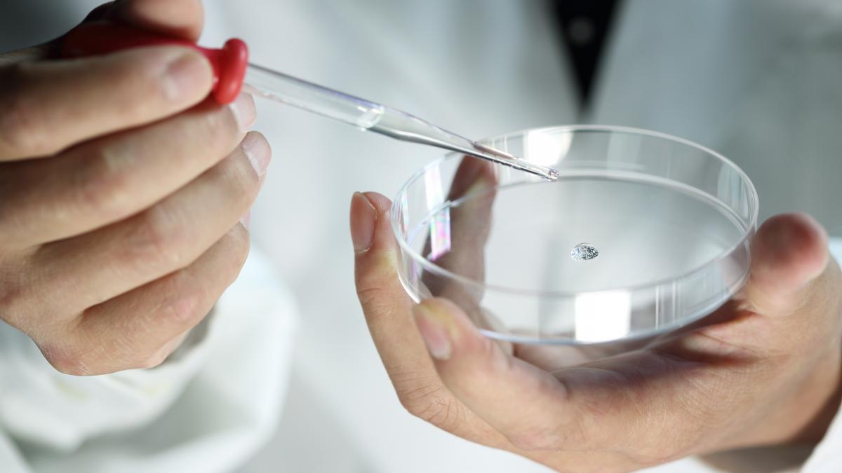 un student la farmacie se folosea de cursurile de la facultate pentru a produce singur droguri acasa a fost prins de diicot