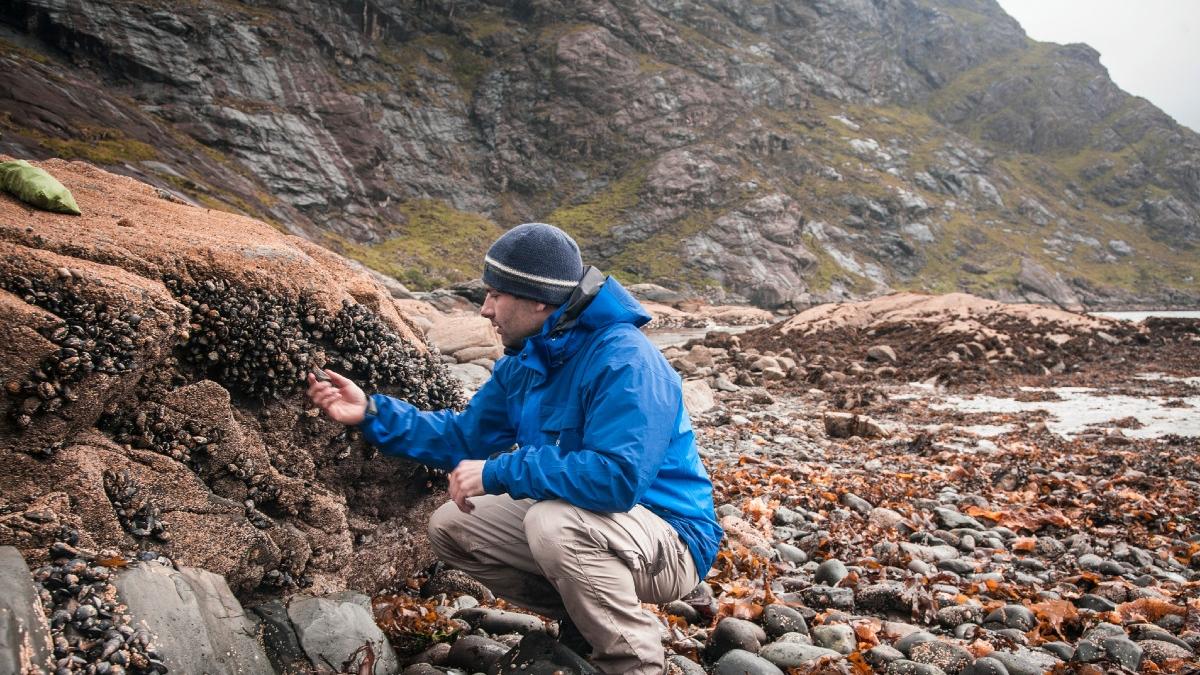 tara europeana care se confrunta cu o invazie periculoasa de midii au blocat conductele si ameninta fauna locala