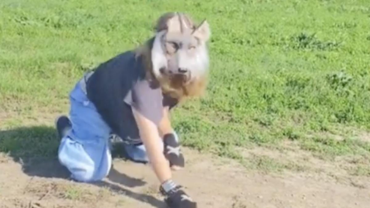 trendul socant de pe tiktok care ia amploare in romania adolescentii se comporta ca animalele cum explica psihologii