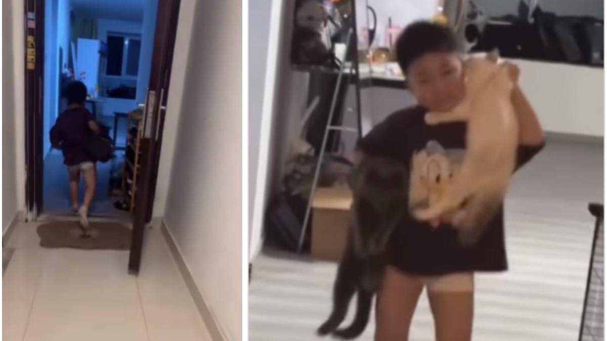 imagini virale cu un baietel care isi ia pisicile cu el in timpul unui cutremur