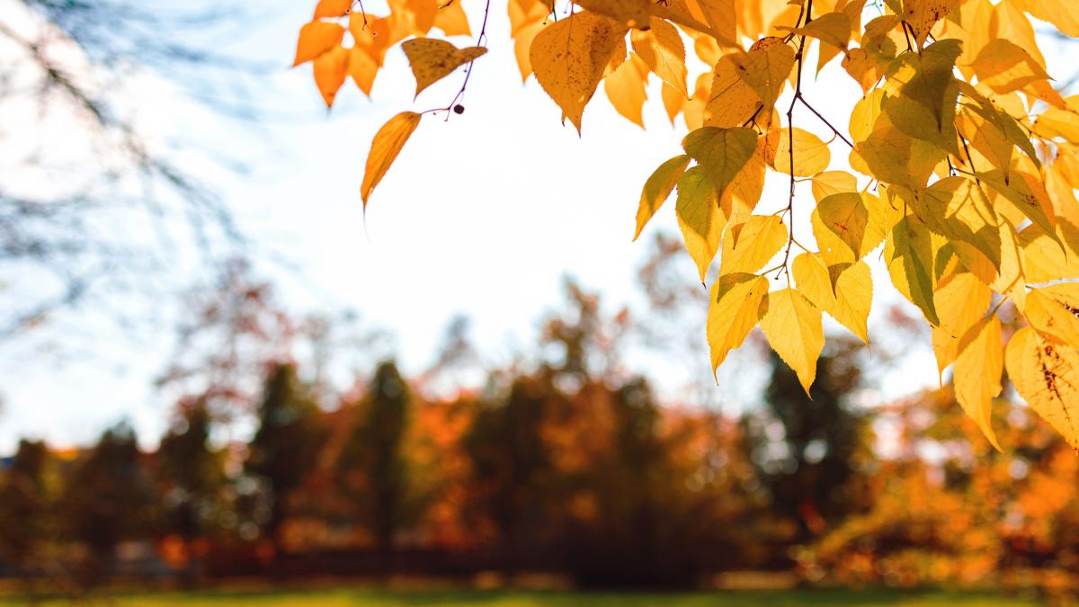 prognoza meteo pentru urmatoarele doua saptamani pe regiuni vremea se incalzeste in aproape toata tara