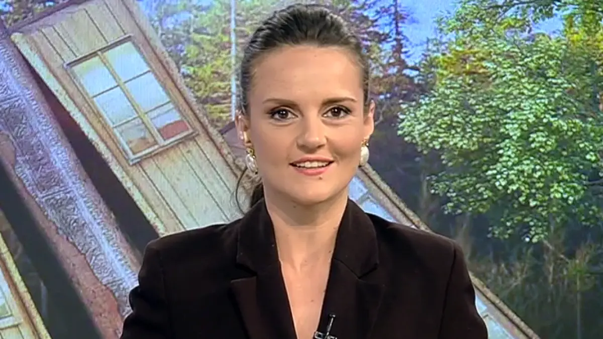 cand folosim din punct de vedere si din punctul de vedere