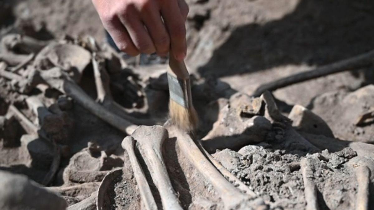 misterul copilului cu ten inchis si ochi albastri care a trait in europa acum 17 000 de ani i a fost reconstituit 75 din genom