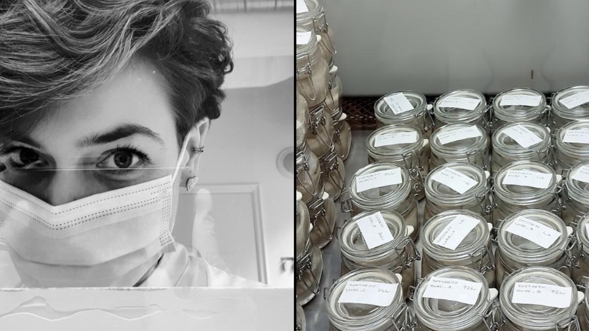 colectionara de creiere antice povestea tinerei care a studiat peste 4 400 de organe totul a inceput cu cateva migrene ingrozitoare