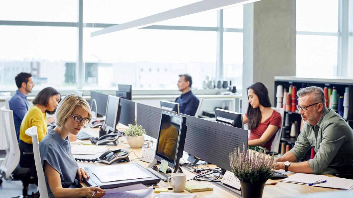 topul meseriilor cautate de angajatori in viitor de ce nu mai poti sa ai acelasi job 60 de ani din viata