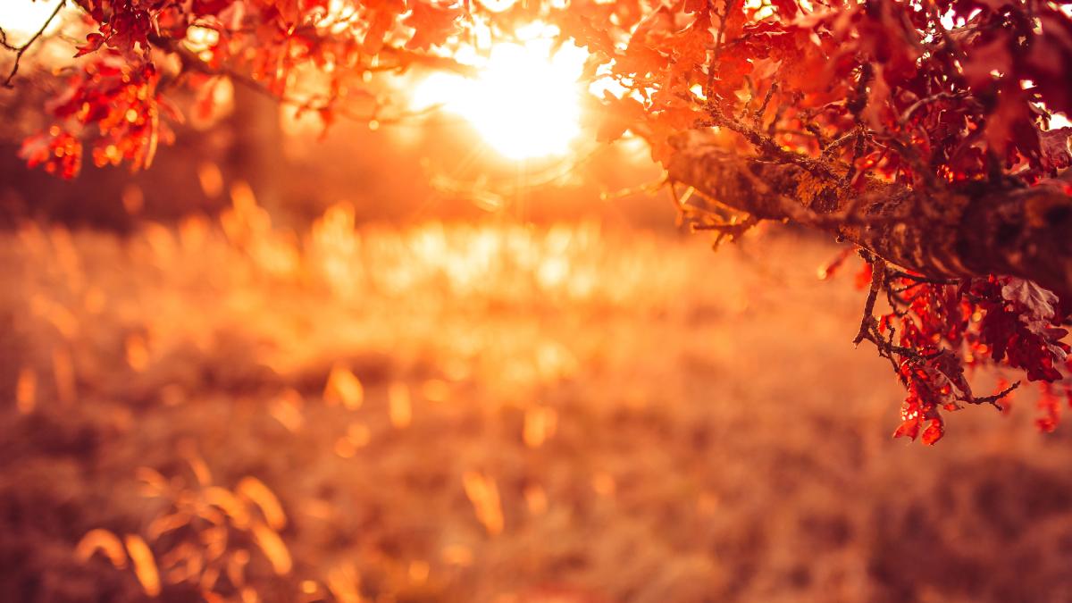 cand vine iarna cum va fi vremea in aceasta saptamana