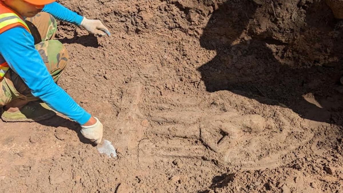 descoperire arheologica neasteptata la poarta unui celebru palat regal din cambodia povestea celor 12 statui gasite intamplator