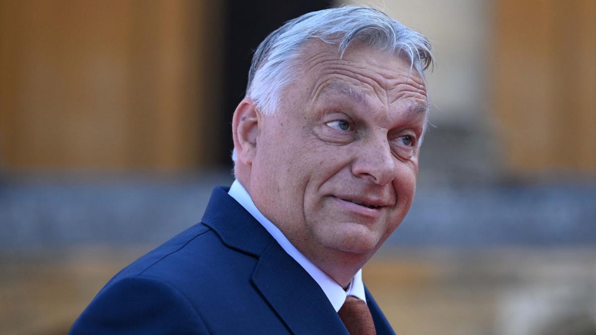orban merge in georgia sa legitimeze victoria partidului pro rus al lui ivanisvili borrell orice ar spune el nu reprezinta ue