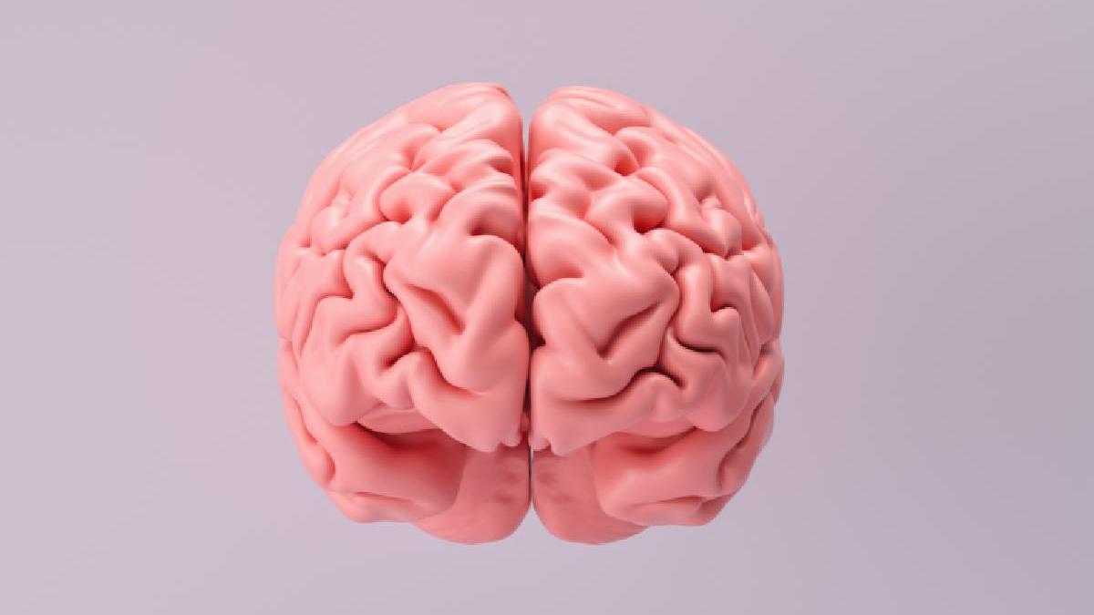 meningiomul intre mit si realitate