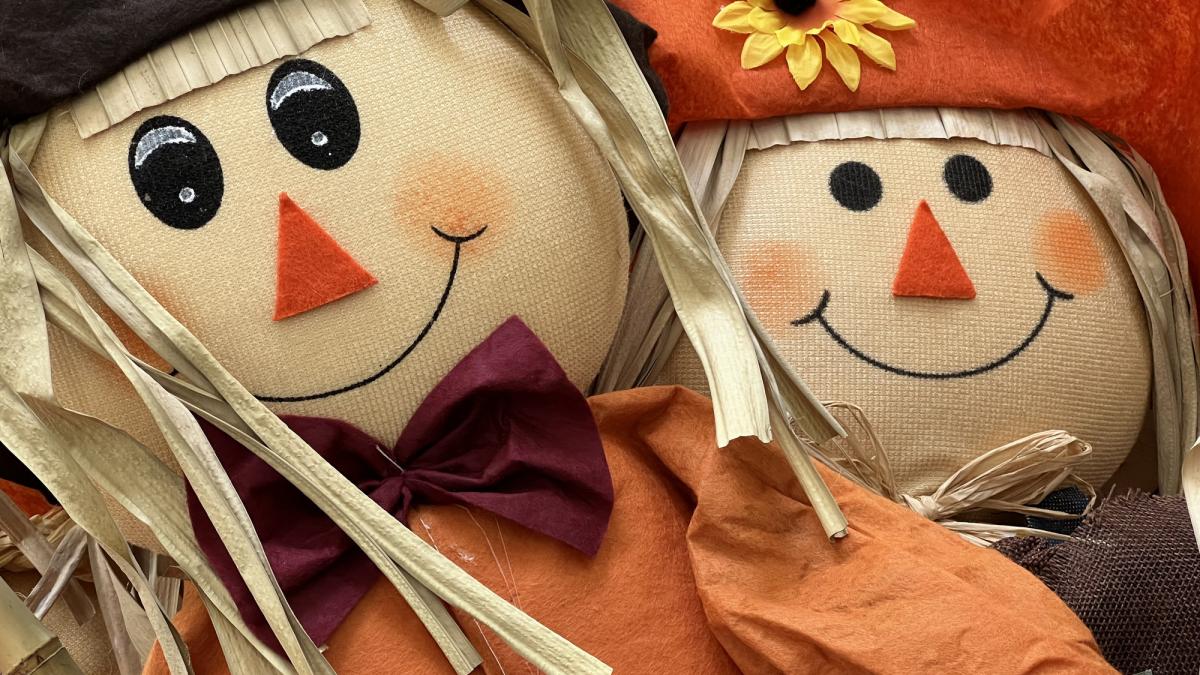 motivul pentru care oamenii au fost inlocuiti de papusi intr un sat din japonia acum platim pretul