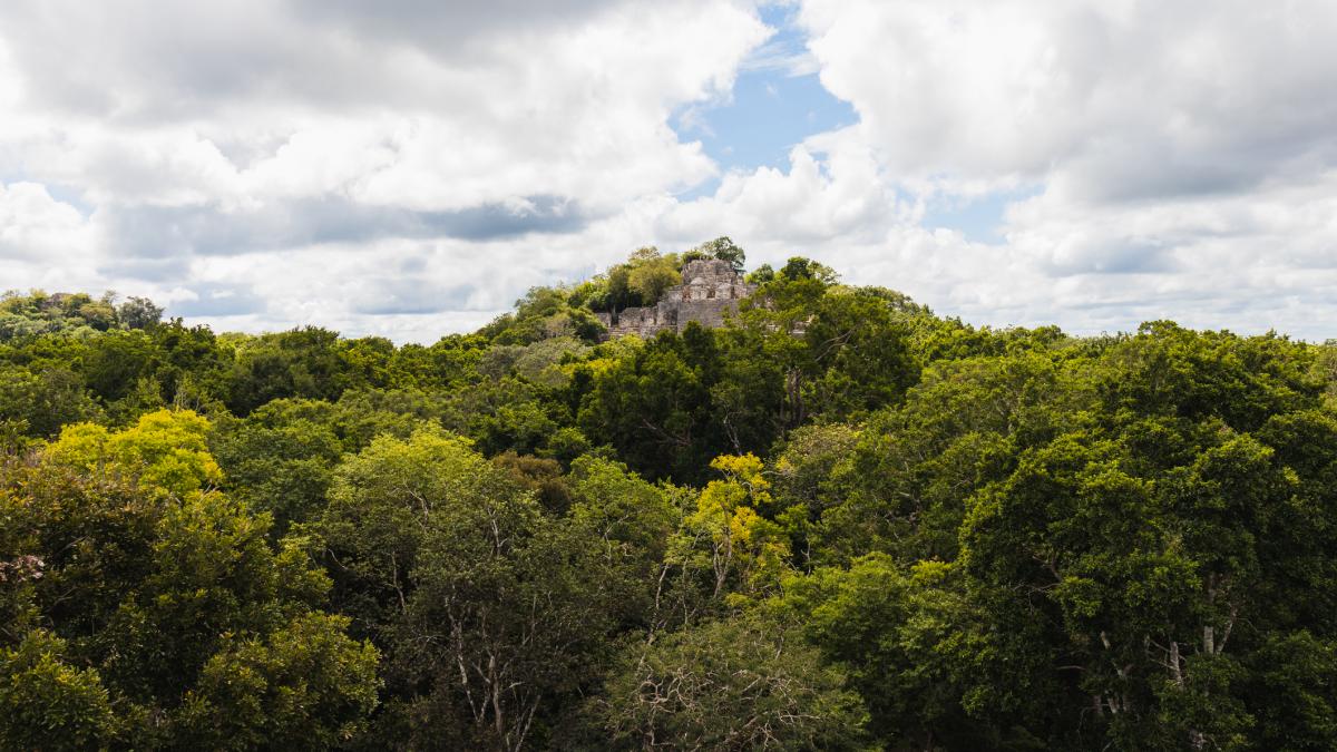 orasul antic pierdut de marimea bucurestiului descoperit din intamplare in jungla totul a inceput cu o simpla cautare pe google