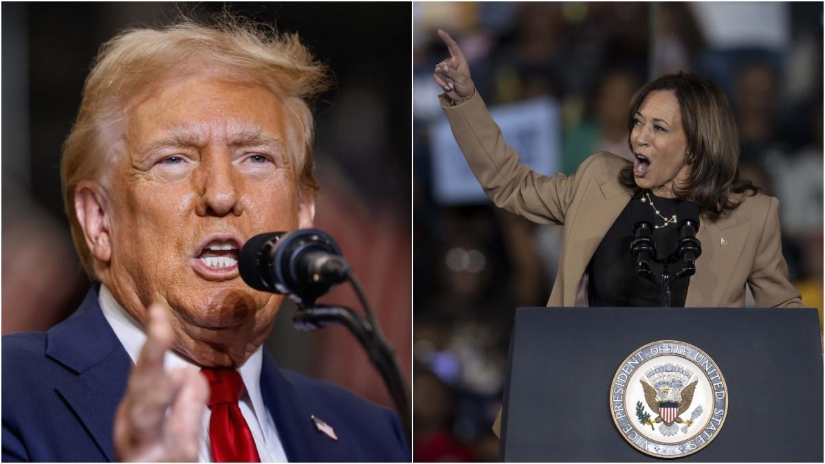 kamala harris indeamna la unitate in ultimul discurs electoral trump spune ca portoricanii il imbratiseaza si il saruta pe strada