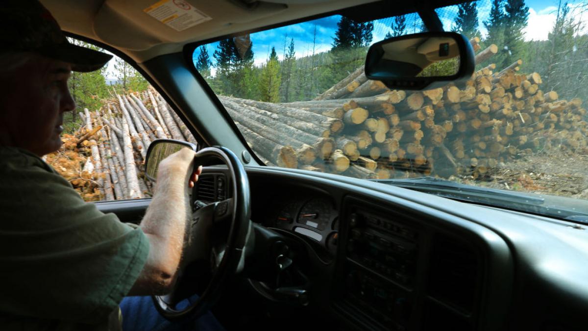 un padurar a fost batut de un hot de lemne pe care a incercat sa il opreasca cu focuri de arma el a povestit ce s a intamplat