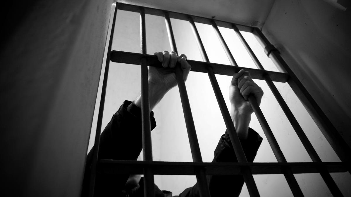 avocata din ilfov retinuta dupa ce ar fi comandat trei asasinate totul a inceput cand fiul ei a murit in uk