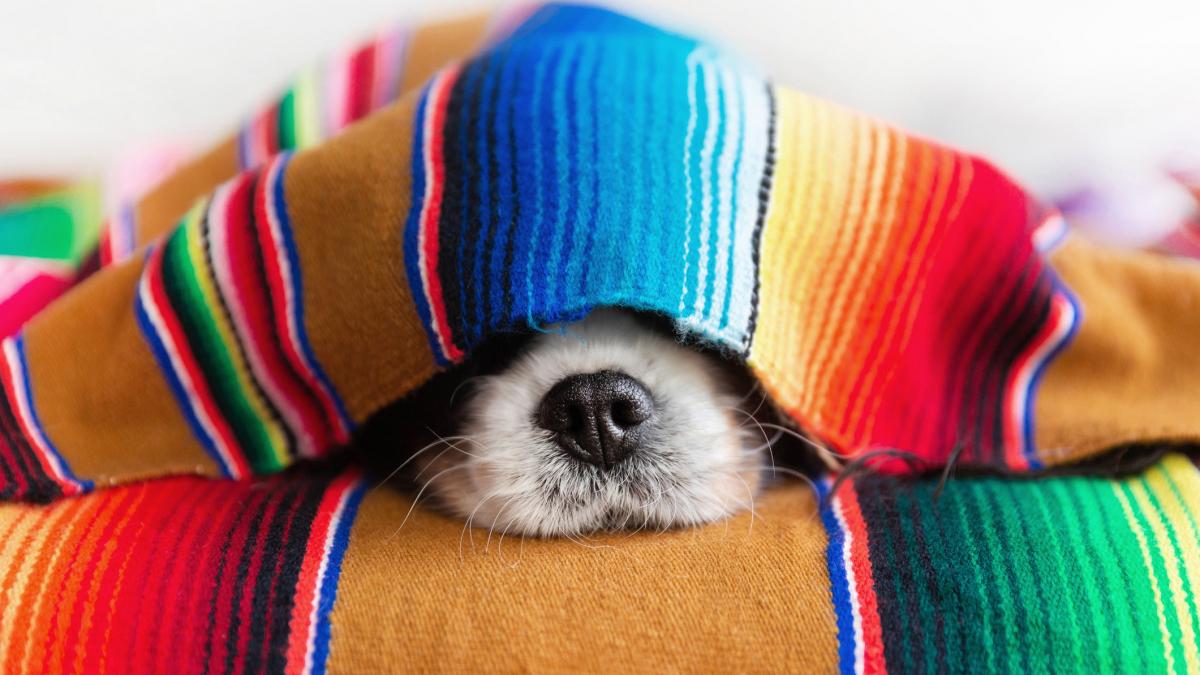 de duminica vine frigul temperaturile scad cu 10 grade de la o zi la alta