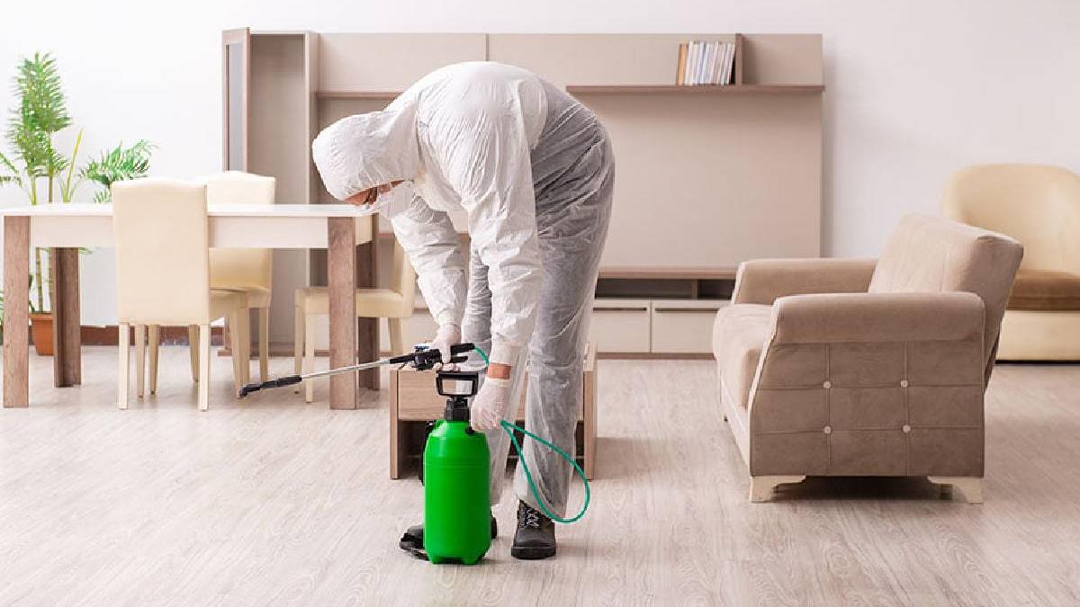 servicii contracte ddd bucuresti partenerul de incredere pentru dezinsectie si eliminarea daunatorilor